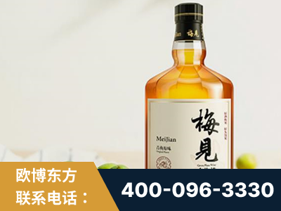 长治-梅见青梅酒